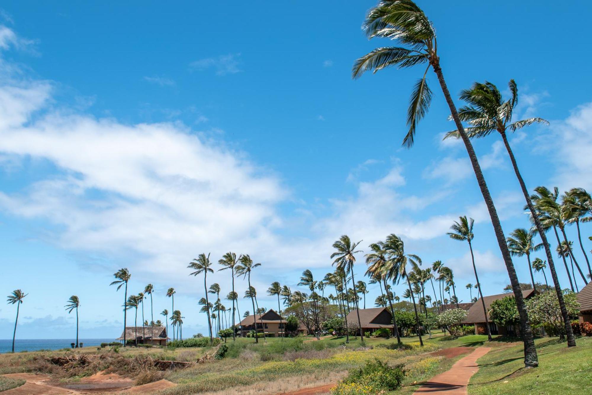 Kepuhi Beach Resort Maunaloa Pokój zdjęcie